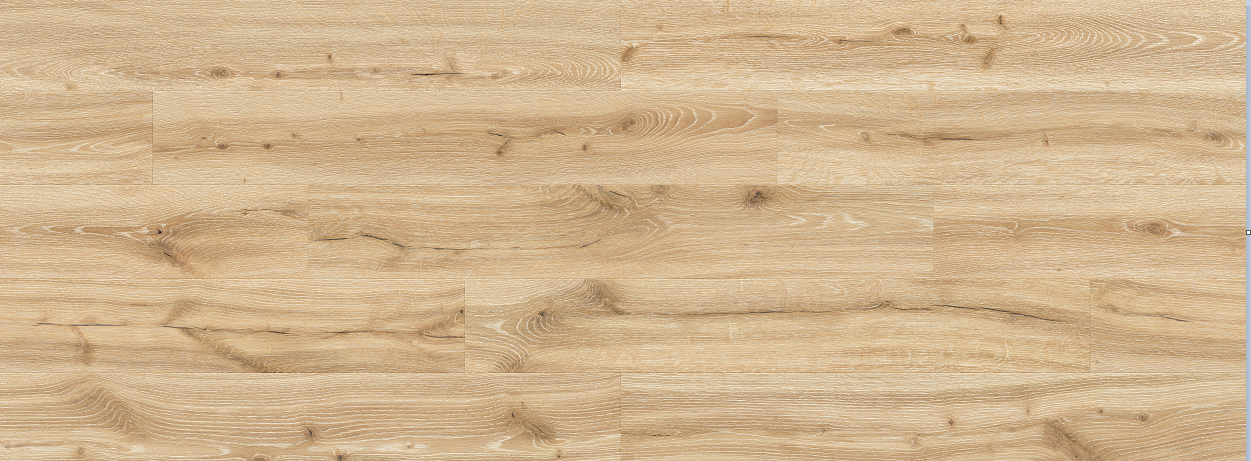 Desert Oak
