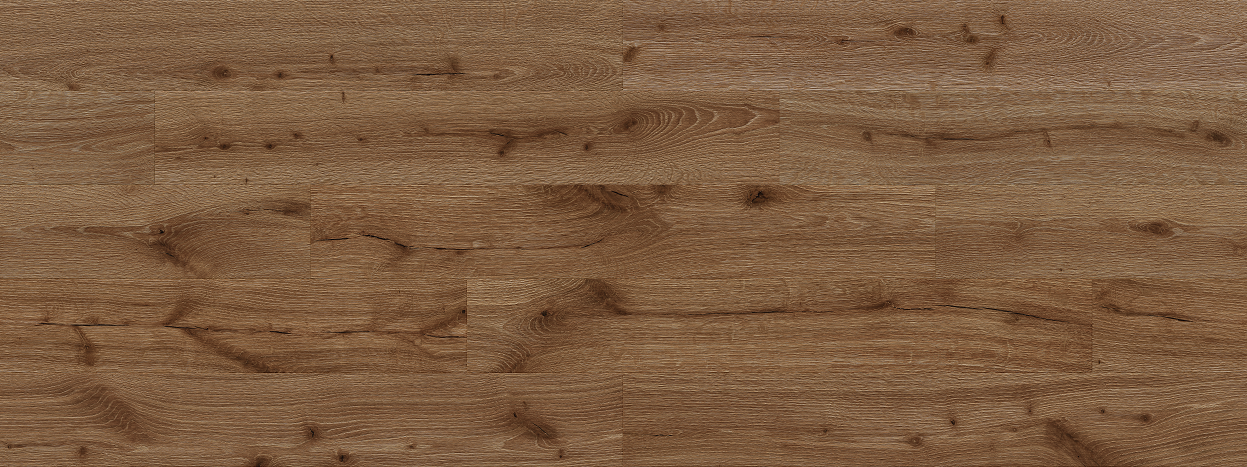 Coffee Oak