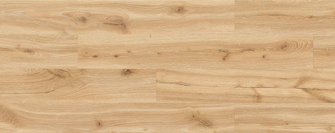 Amber Oak
